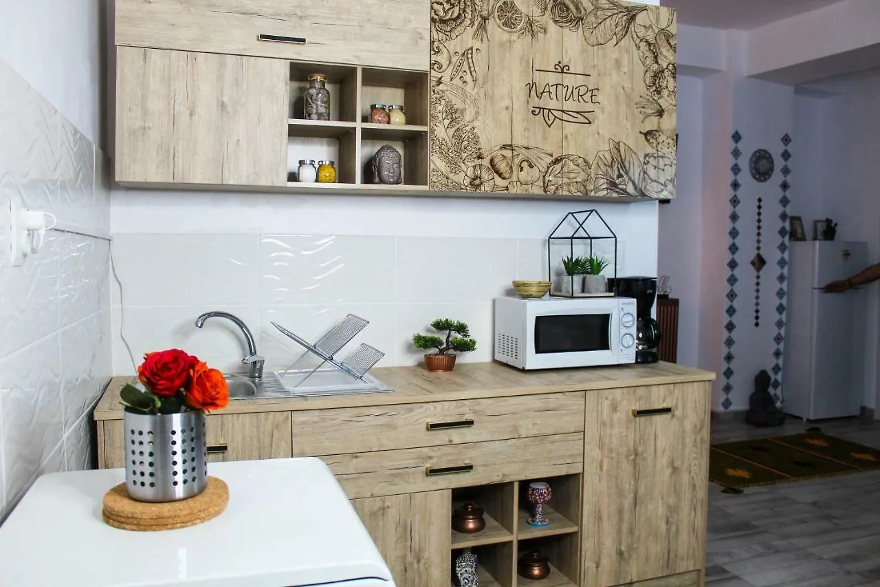 Apartmán Nirvana Apartament Bukurešť Rumunsko